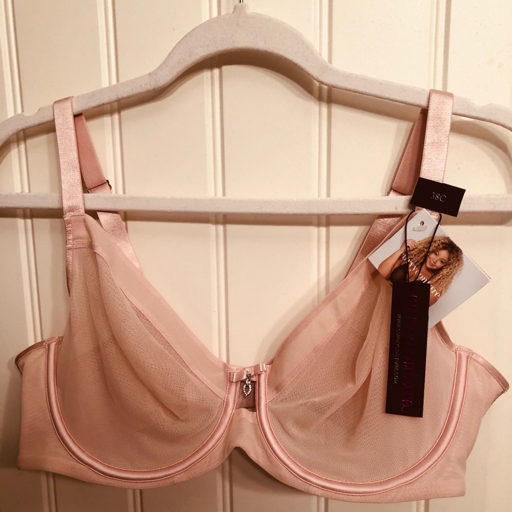 Curvy Couture Sheer Light Pink Underwire Bra